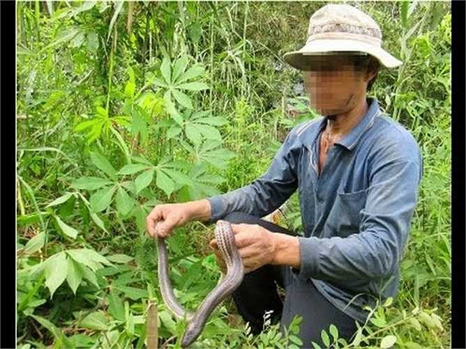 Không ít người phải rùng mình khi nhìn thấy những người làm nghề này, luôn đối diện với tử thần. 