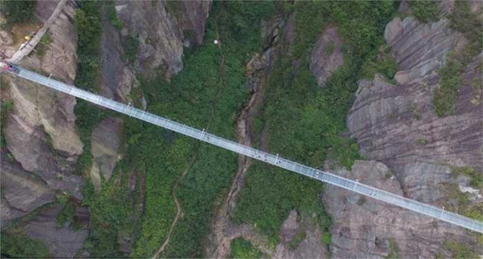 Vì nền cầu trong suốt nên nhiều người sẽ sợ hãi khi bước qua