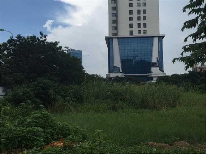 Mảnh đất vàng bỏ hoang nằm trên lô đất 4.1 Lê Văn Lương mấy ngày nay đã được trưng biển. Lúc này, người dân sống xung quanh mới có dịp biết được chủ nhân thực sự của nó là ai.