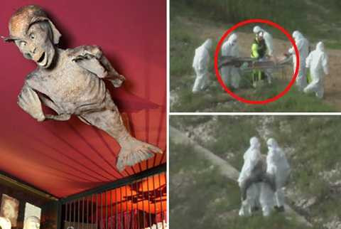 Hình ảnh sinh vật lạ khiến nhiều người nghi ngờ về sự tồn tại của người cá Hình ảnh sinh vật lạ khiến nhiều người nghi ngờ về sự tồn tại của người cá