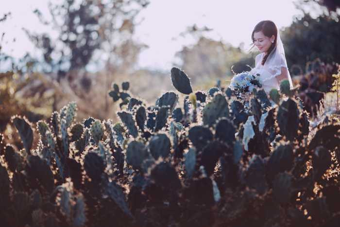 Bộ ảnh cưới đẹp lung linh của cặp đôi Hà Thành trên đảo Lý Sơn