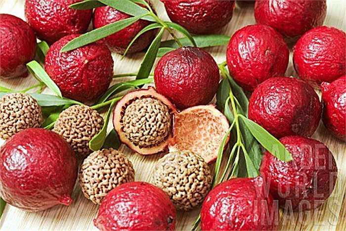 Hạt của quả Quandong khá giống với quả óc chó và có thể ăn sống hoặc rang muối.