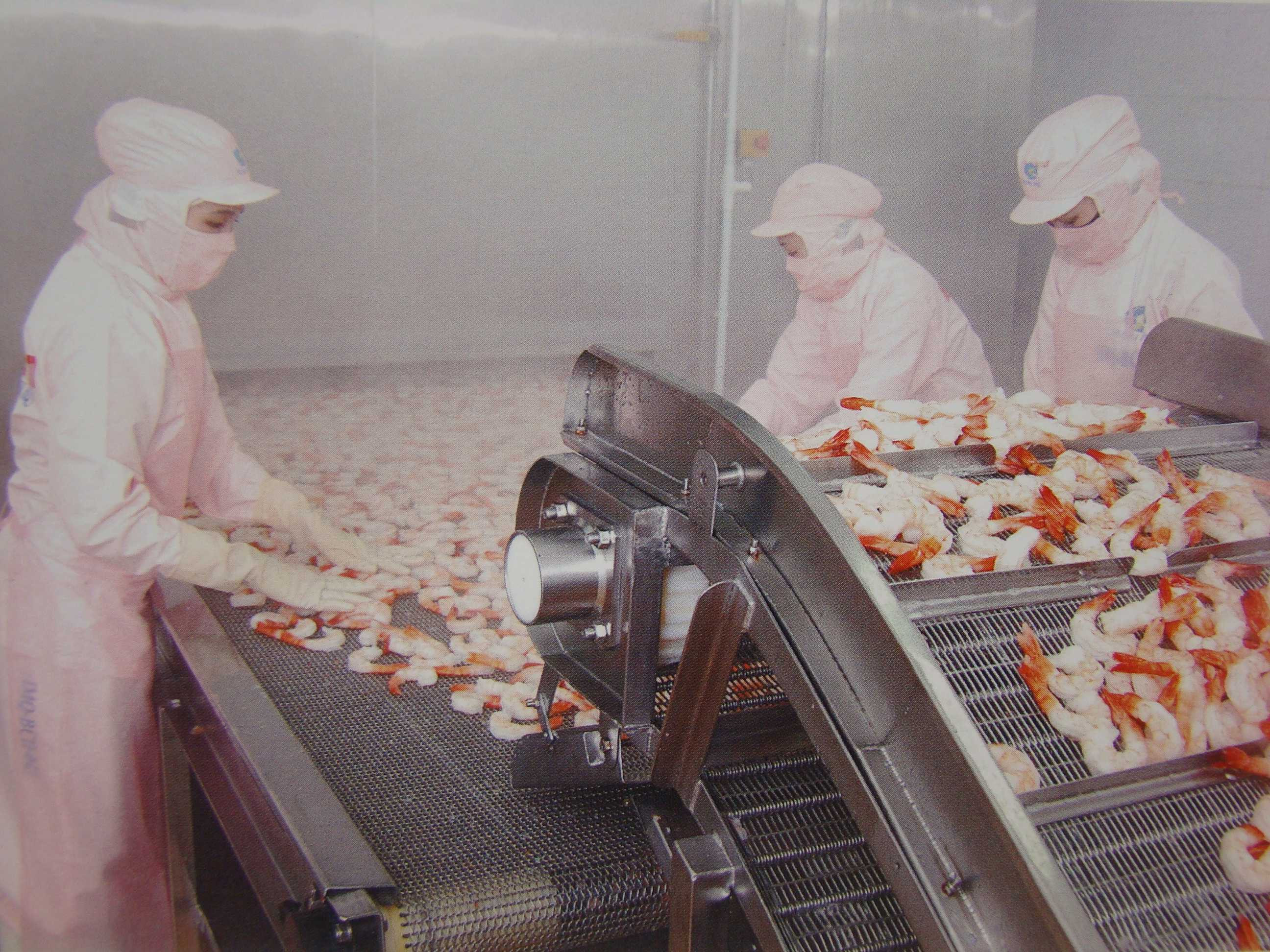 Cần đảm bảo vệ sinh an tòan lao động cho các công nhân trong ngành chế biến thực phẩm.