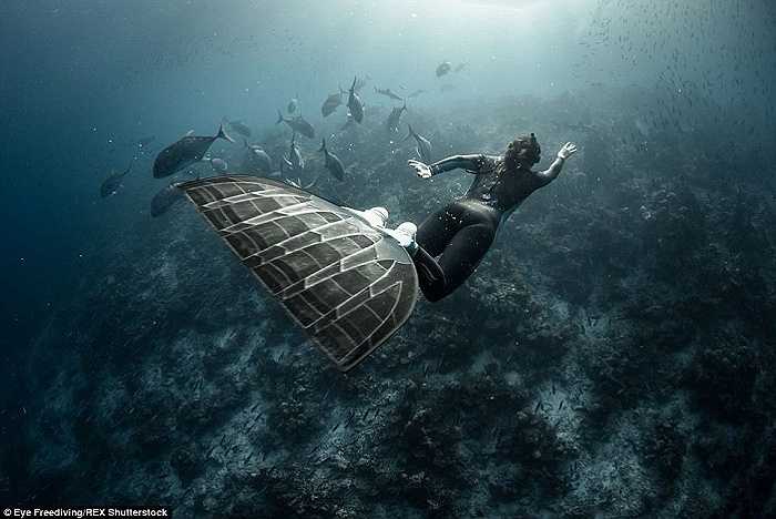 Hai thợ lặn này cho biết khi sống ở Paris, do không có điều kiện để có thể lặn tự do ở biển mỗi ngày nên họ đã tập luyện với nhau ở các hồ bơi