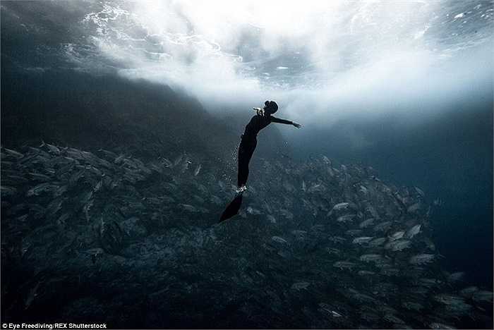 Hai thợ lặn cho rằng lặn tự do không phải là một hoạt động nguy hiểm nếu chúng ta biết tuân thủ những nguyên tắc an toàn cơ bản