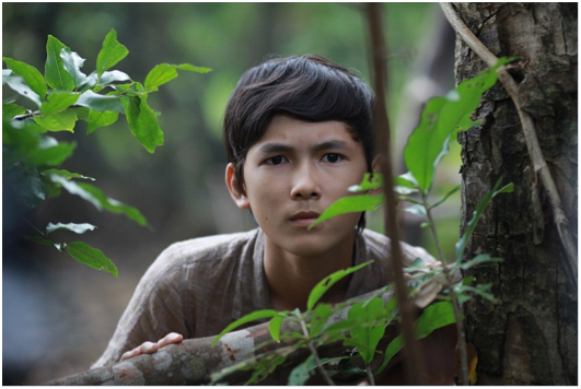 tôi thấy hoa vàng trên cỏ xanh