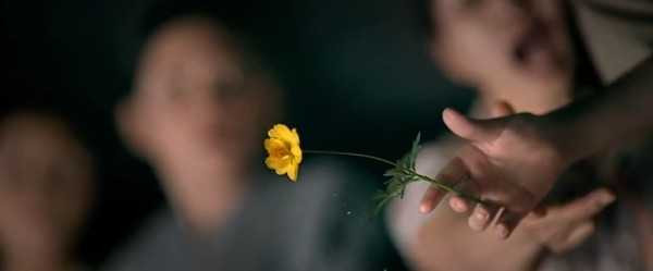 tôi thấy hoa vàng trên cỏ xanh