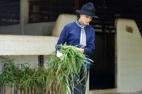 á hậu lệ hằng