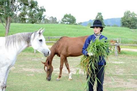 á hậu lệ hằng