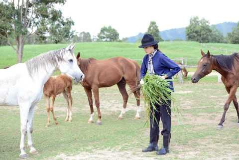 á hậu lệ hằng