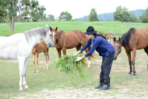 á hậu lệ hằng