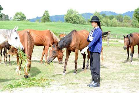 á hậu lệ hằng