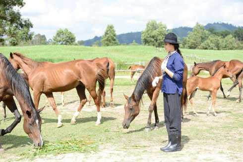 á hậu lệ hằng