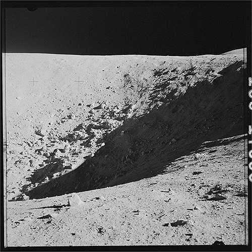 Đoàn phi hành gia đã mang theo hàng trăm hạt giống khi thực hiện nhiệm vụ, nhiều hạt trong số đó đã nảy mầm và được gọi là cây Mặt Trăng. (Nguồn: Sputniknews)