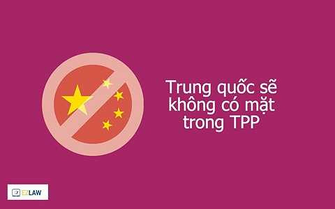  Mỹ muốn TPP sẽ là điểm chốt mới của họ tại Châu Á sau nhiều năm Mỹ đã lún quá sâu vào khu vực Trung Đông. Ngoài ra, nhiều học giả còn cho rằng Mỹ muốn sử dụng TPP để tạo ra một nền kinh tế hợp nhất trong khu vực có thể đối trọng lại với sự phát triển của Trung Quốc. 