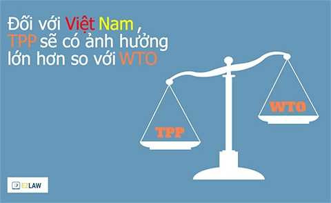  WTO hiện có tới 161 thành viên, vì vậy một trong những nhược điểm của mô hình này là sự khó khăn và dài lâu để tiến đến một thỏa thuận chung liên quan đến bất kỳ vấn đề gì. Hơn thế nữa, TPP sẽ đặt ra được các luật lệ quốc tế mà vượt qua phạm vi WTO như chính sách đầu tư, bảo vệ quyền sở hữu trí tuệ, kiểm soát các công ty nhà nước, chất lượng sản phẩm và lao động….
