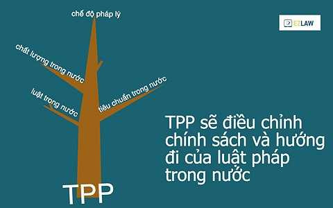  Hầu hết các thỏa thuận quốc tế là về xuất nhập khẩu hàng hóa, dịch vụ, nhưng TPP thì khác. Chính bản thân TPP sẽ tạo ra các điều luật quốc tế có khả năng điểu chỉnh chính sách và hướng đi của luật pháp trong từng quốc gia thành viên. Nói một cách khác, các điều luật của các quốc gia thành viên sẽ phải tuân theo định hướng của TPP.