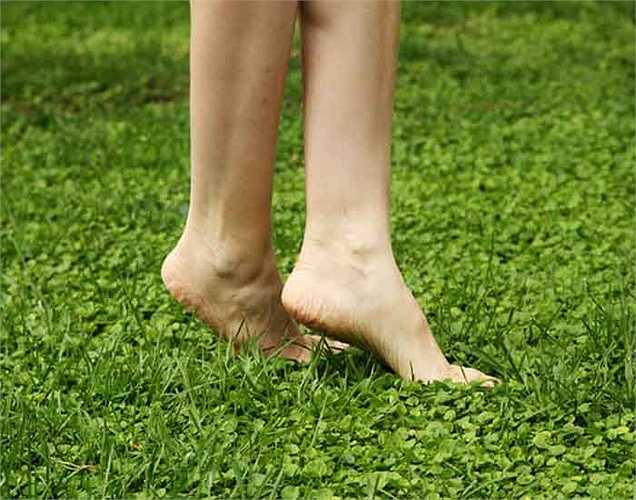 Chân lạnh: Một trong những lý do đôi chân bị lạnh là do tuyến giáp. Bạn có thể bị suy giáp, một tình trạng mà trong đó là sự lưu thông máu đến chân là ít hơn so với phần khác của cơ thể.