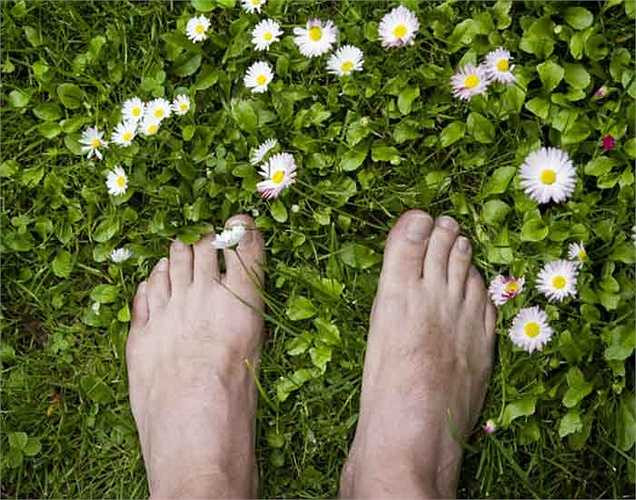 Khớp ngón chân đau: Bạn bị đau và tổn thương rất nhiều có thể là bạn bị viêm khớp.Viêm khớp dạng thấp có thể có sưng và chất dịch trong khớp xương, làm cho chúng sưng húp, và các ngón chân thường nhạy cảm. 