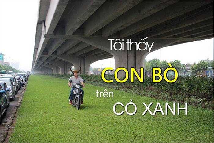 Không dừng lại ở đó, bức ảnh còn được các cư dân mạng chế thành từ trào lưu 'Tôi thấy... trên cỏ xanh'. (Ảnh: Otofun)