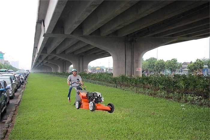 Một bức ảnh khác cũng nhận được sự hưởng ứng của nhiều người. (Ảnh: Hoàng Hải)