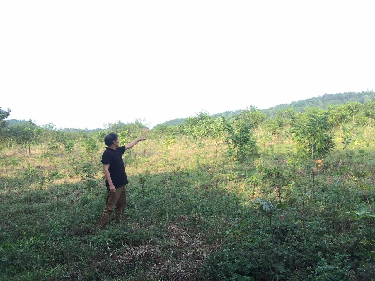 Ông Sơn chỉ ranh giới đất làm dự án công viên nghĩa trang Thiên An Viên. Ảnh: Châu Anh