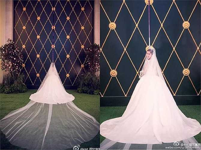 Trong khi thân váy sử dụng chất liệu oganza tạo thành tay váy, mang lại cảm giác huyền ảo. Vạt váy và tay váy được phủ lớp vải ren Chantilly lace với chấm hoa nhỏ li ti kết thành hàng trăm đóa hoa tuyết tuyệt đẹp.