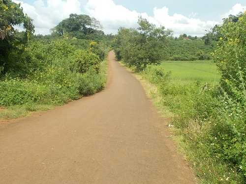 Đường vào làng Bloi