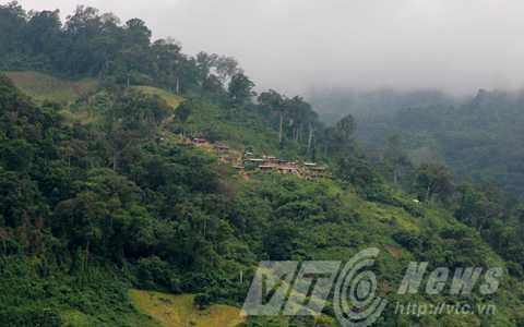 Bản làng trên lưng núi của hai tỷ phú Hồ Văn Du và Hồ Văn Lượng, sở hữu vườn sâm trị giá hàng trăm tỷ đồng