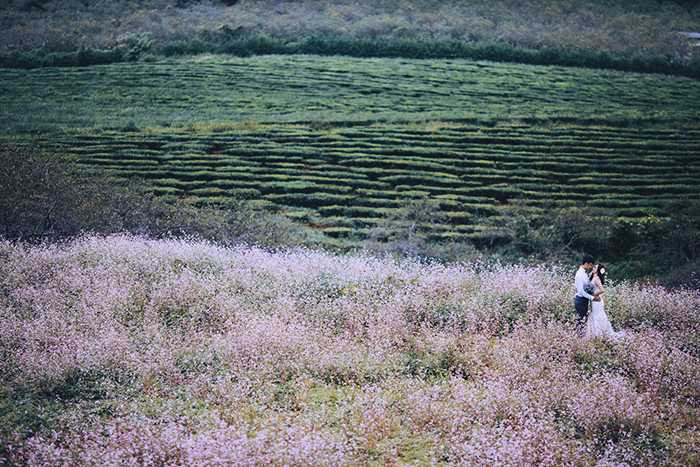Ảnh cưới đẹp mê mẩn giữa cánh đồng hoa tam giác mạch Mộc Châu