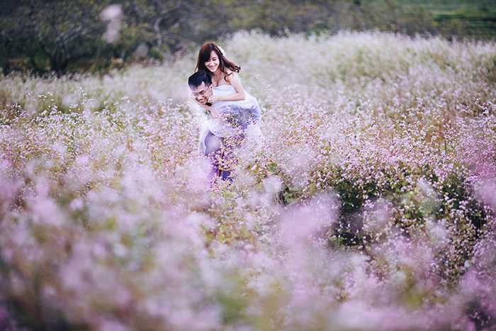 Ảnh cưới đẹp mê mẩn giữa cánh đồng hoa tam giác mạch Mộc Châu