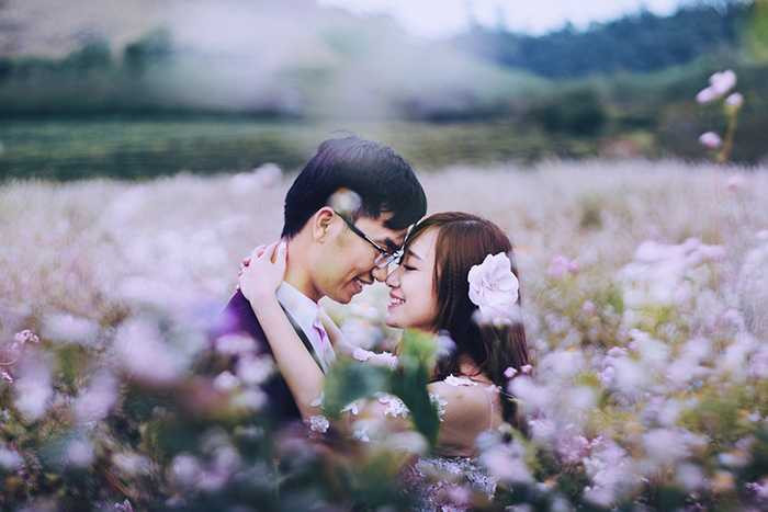 Ảnh cưới đẹp mê mẩn giữa cánh đồng hoa tam giác mạch Mộc Châu