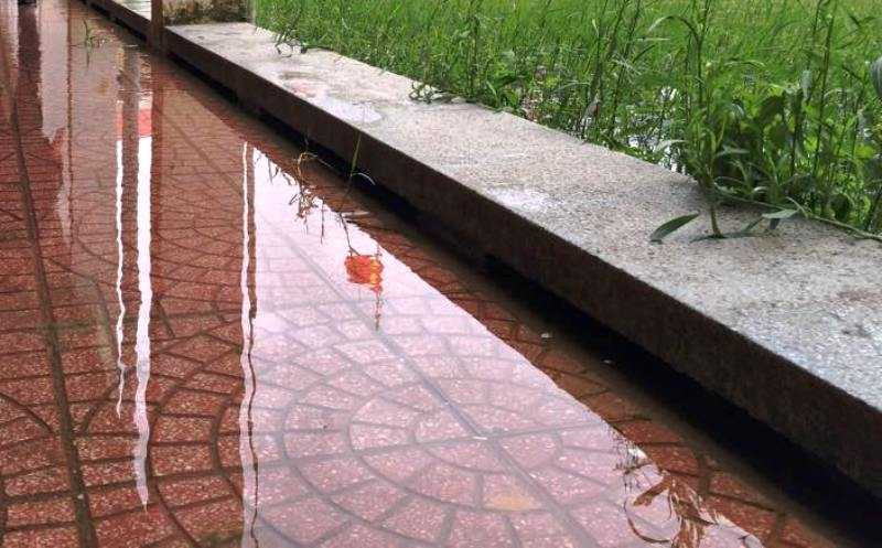 Trường lún hàng mét, sơ tán gấp hàng trăm học sinh