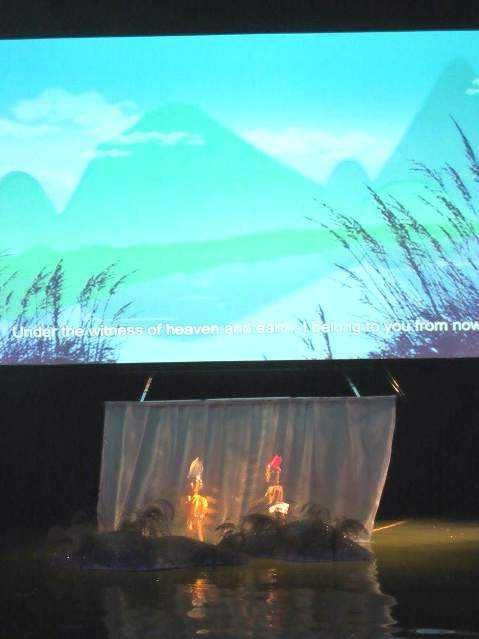 Chuyện tình Dạ Trạch