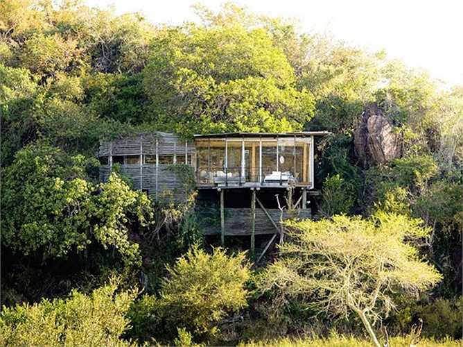 3. Singita Kruger tại Công viên Quốc gia Kruger, Nam Phi: Đây là nơi nghỉ dưỡng tuyệt vời cho những người yêu thích thiên nhiên và động vật hoang dã với giá phòng khoảng 1.270 USD/đêm.