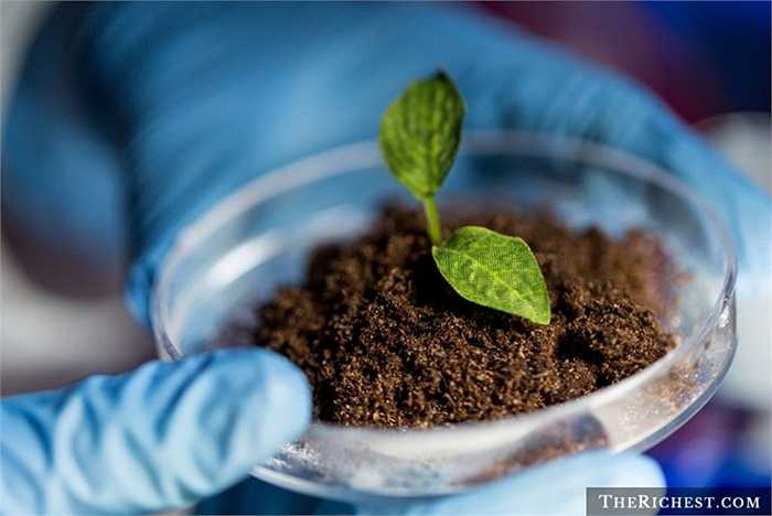 Nhà bảo tồn đất đai. Đất đai được coi là điều quan trọng nhất trong việc nuôi trồng các giống cây, tuy nhiên, đất tốt luôn thiếu hụt và thường xuyên phải bảo tồn, chăm sóc. Đó là nhiệm vụ dành cho môn số nhà khoa học chuyên môn để đảm bảo nguồn đất đai cho thế giới