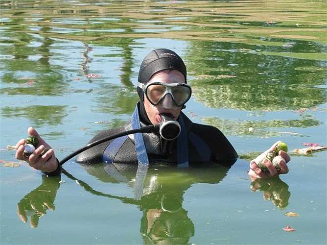 Thợ lặn tìm bóng golf. Những hồ nước trong sân đánh golf luôn đầy ắp những quả bóng và các chủ sân cần những người thợ lặn để 'trục vớt' những quả bóng này. Với thú chơi golf ngày một lan rộng ra toàn cầu thì hoàn toàn có cơ sở để tin rằng nghề thợ lặn tìm bóng sẽ phát triển mạnh mẽ