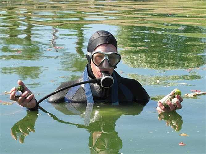 Thợ lặn tìm bóng golf. Những hồ nước trong sân đánh golf luôn đầy ắp những quả bóng và các chủ sân cần những người thợ lặn để 'trục vớt' những quả bóng này. Với thú chơi golf ngày một lan rộng ra toàn cầu thì hoàn toàn có cơ sở để tin rằng nghề thợ lặn tìm bóng sẽ phát triển mạnh mẽ.