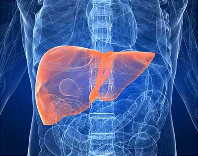 Trị xơ gan: Hạt đu đủ là một phương thuốc tự nhiên cho bệnh xơ gan. Nó giải độc gan. Hạt đu đủ uống với nước chanh tây trong hai tháng sẽ cho kết quả chữa bệnh xơ gan hiệu quả.