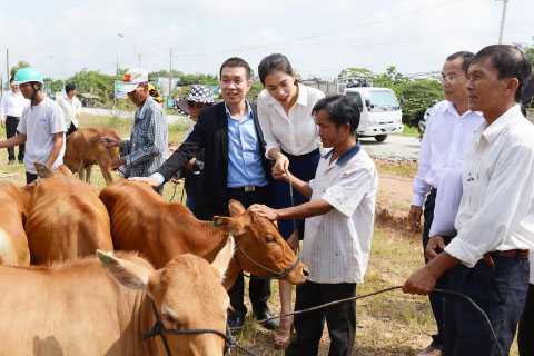 lệ hằng