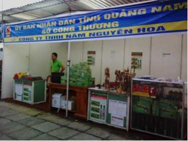 Nấm lim xanh có thể đẩy lùi các bệnh hiểm nghèo?