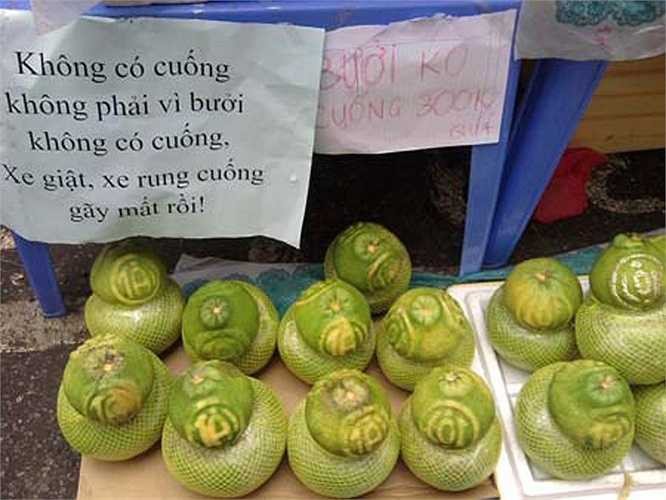 Một cách giải thích hài hước khi những trái bưởi bị rụng cuống.