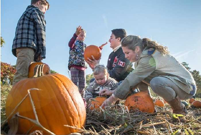 Justin Trudeau hái bí ngô cùng vợ là Sophie, con gái Ella-Grace và hai con trai Xavier và Hadrien hồi giữa tháng 10 vừa qua