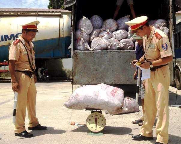 290 bao tải chứa bị phát hiện và bắt giữ