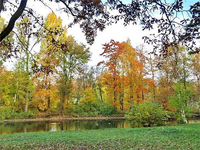 Những cây thích lá đỏ xen lẫn những cây phong xòe tán, lá sồi và bạch dương đã vàng rực hai bên đường