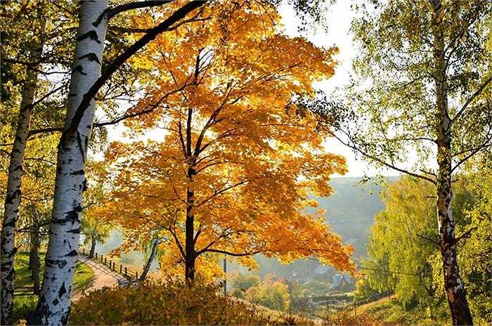 Nước Nga vào thu sớm hơn nhiều địa danh khác trên thế giới