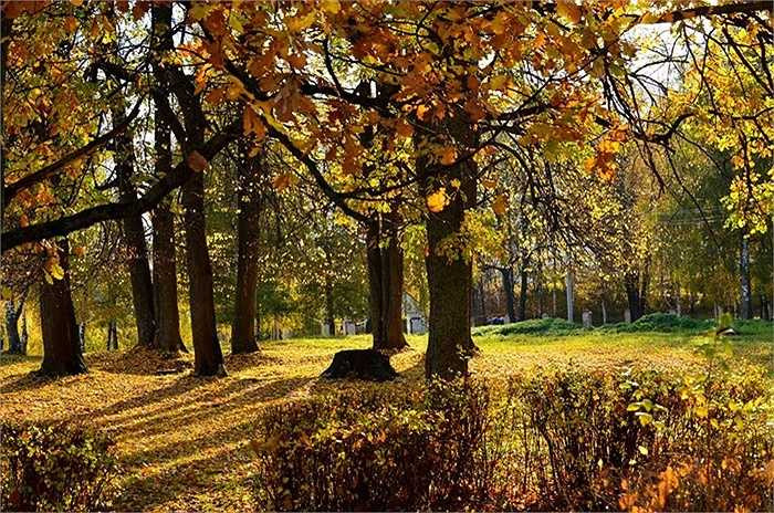 Như lạc vào những câu chuyện cổ tích