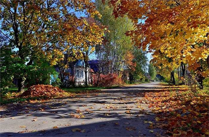 Những con đường mang vẻ đẹp khó tả thành lời