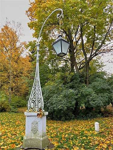 Nắng thu vàng óng ánh như mật ngọt