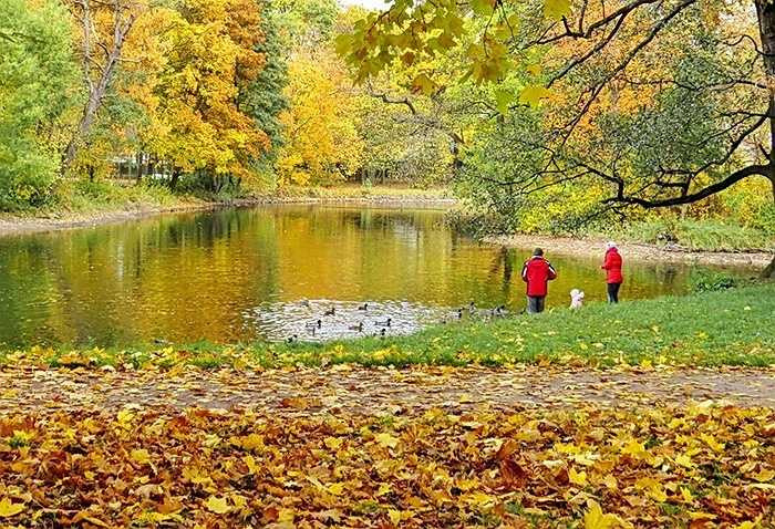 Nơi đâu cũng tràn ngập sắc vàng của cỏ cây hoa lá